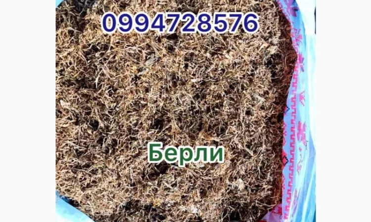 Большой выбор табака - фото № 1