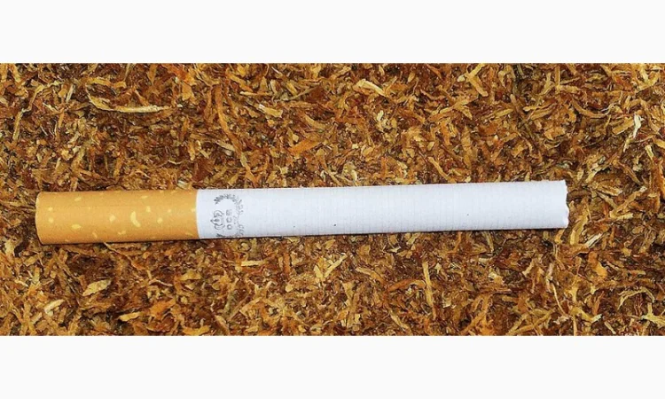 Табак Венгерский, Вирджиния голд, Кемл, Берли для сигарет 1 кг - фото № 1