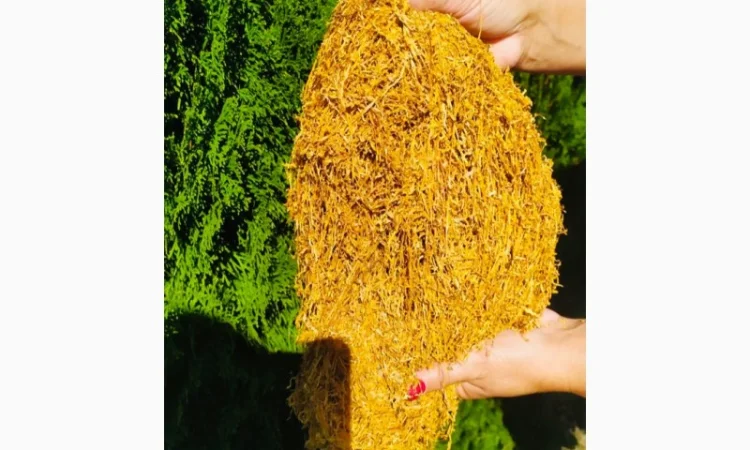 Продам табак ВЫСШЕГО КАЧЕСТВА для сигарет 1 кг,  Болгарский, Вирджиния Голд, Берли, Венгерский - фото № 1