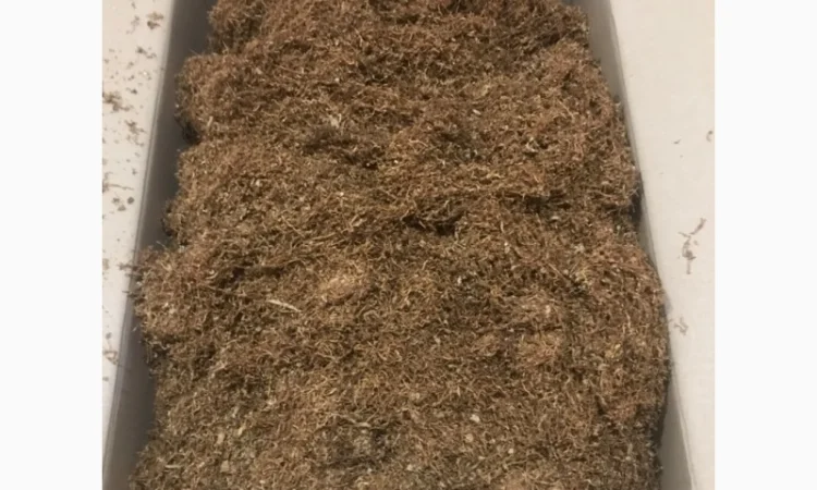 Продам табак хорошого качества для трубки , не горчить, нету запаха махорки - фото № 4