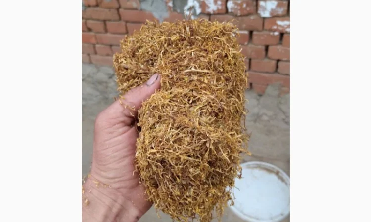 Табак ВИРДЖИНИЯ для трубки - фото № 1