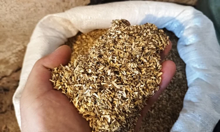 Куплю бадилля з тютюна бадиль стовбур з табака 60 грн кг - фото № 2