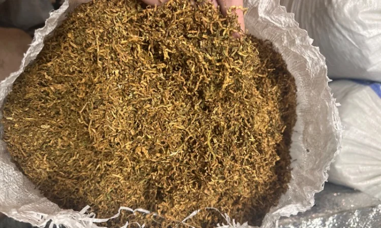 Є на продаж опт багато видів табака очищеного та без вологості - фото № 1