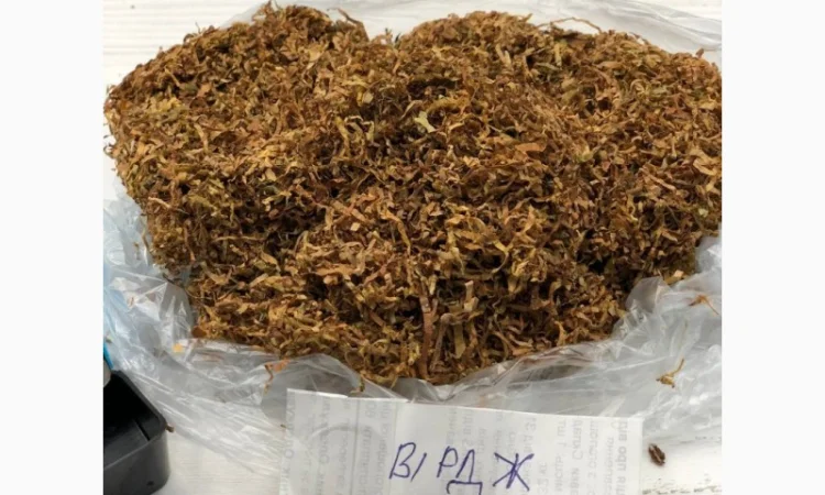 Папір / Тютюн / Машинки / Берлі / Вірджинія / Міленіум / Голд / Дюбек / Гавана / Кап Блек - фото № 5