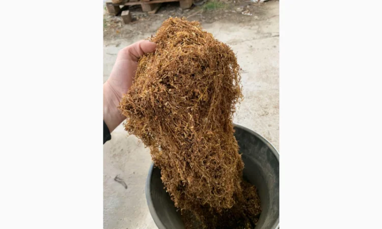 Оптовая продажа очищенного тюта - фото № 4