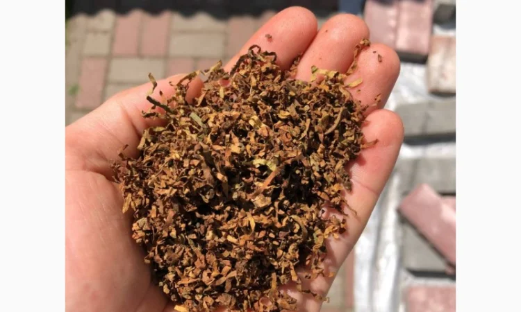 Люльки/ Тютюн / Машинки / Берлі / Вірджинія / Міленіум / Голд / Дюбек / Гавана / Кап Блек - фото № 1