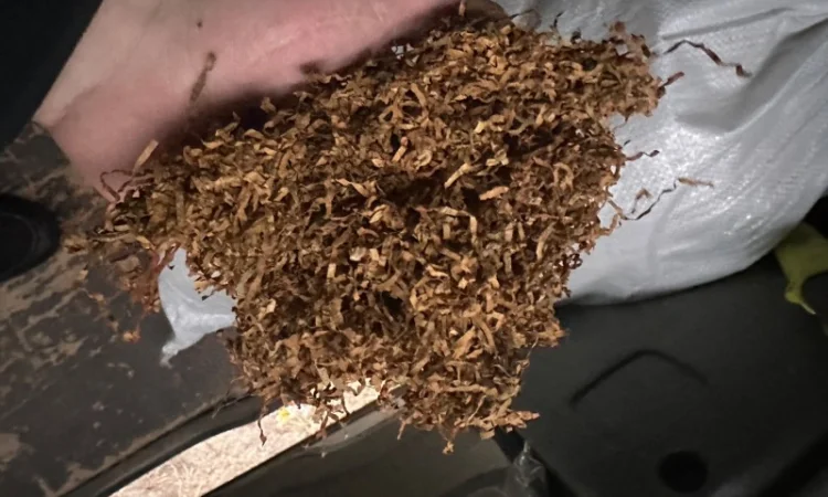 Продаж опт тютюну якісного - фото № 1