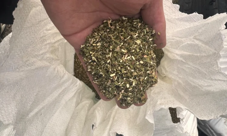 Продаж опт тютюну якісного - фото № 3