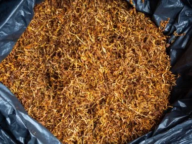 Найкращий тютюн.Берлі, Вірджинія, Вірджинія Голд для самокруток - фото № 1