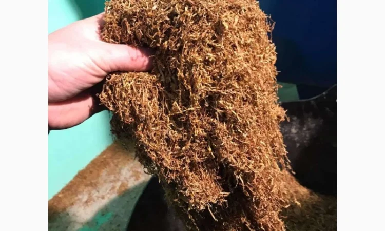 Продається тютюн для самокруток , оптом і роздрібно - Берлі - фото № 1