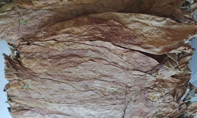 Тютюн в листi! Берли, Вирджиния, Ориентал - фото № 4