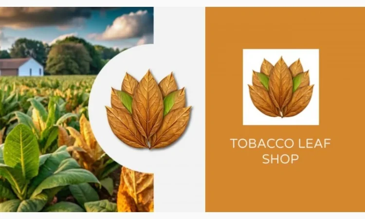 Магазин листового табака Tobacco Leaf Shop - фото № 6