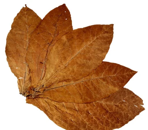 Магазин листового табака Tobacco Leaf Shop - фото № 3