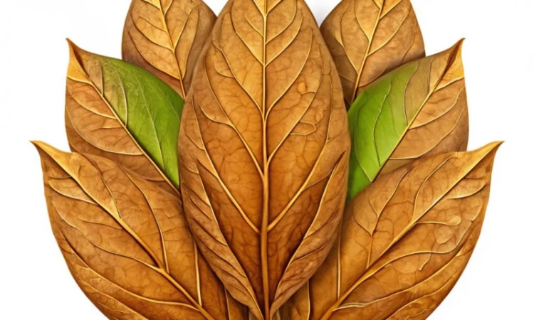 Табак листовой Берли, Вирджиния, Ориентал - фото № 1