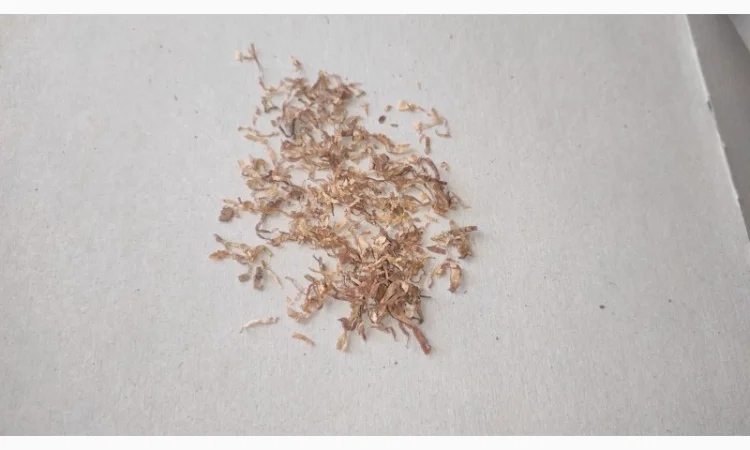 Лучшие, проверенные сорта табака для самокруток  + подарок - фото № 2