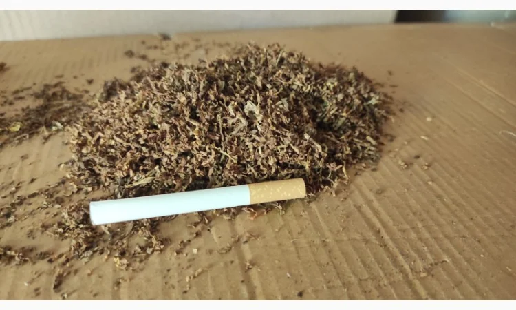 Лучшие, проверенные сорта табака для самокруток  + подарок - фото № 3