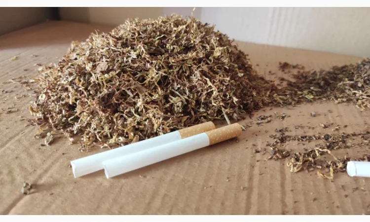 Лучшие, проверенные сорта табака для самокруток  + подарок - фото № 4