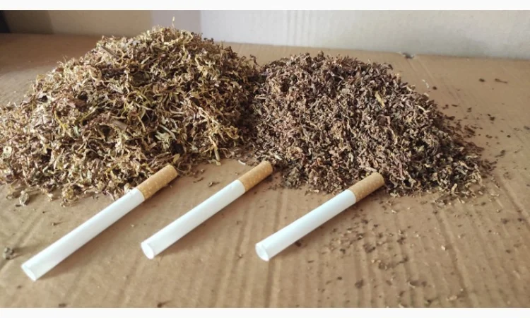 Лучшие, проверенные сорта табака для самокруток  + подарок - фото № 9