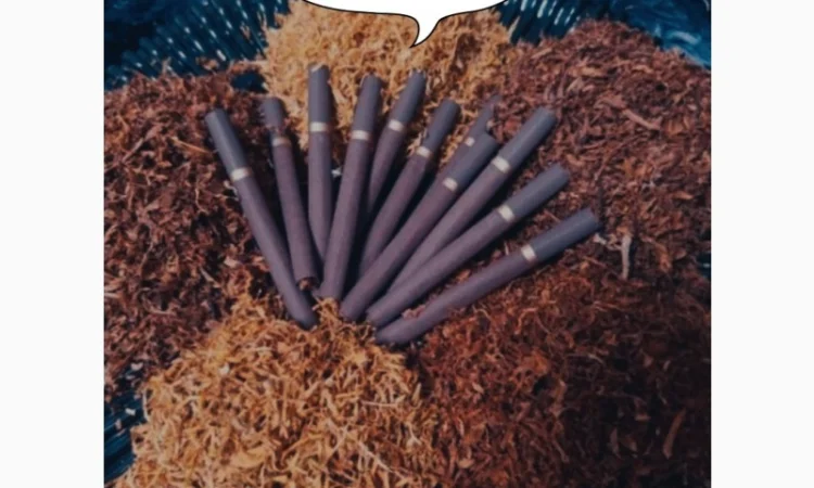 Дуже гарний та чистий тютюн для самокруток  без домішок.Возможен опт - фото № 12