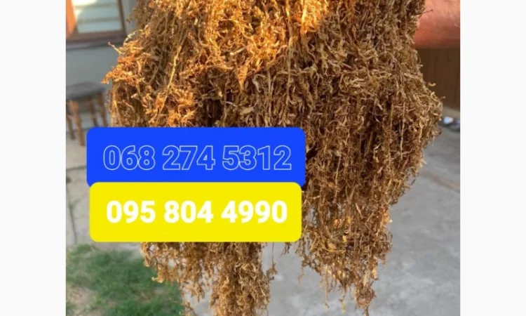 Дуже гарний та чистий тютюн для самокруток  без домішок.Возможен опт - фото № 5