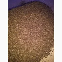 Продам тютюн Вирджиния - фото № 1