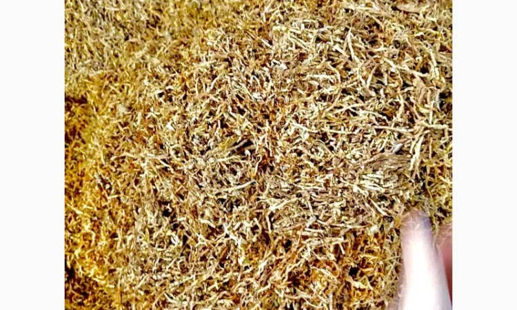 Честная «ЦЕНА» Розница и Оптом.Winston - фото № 4