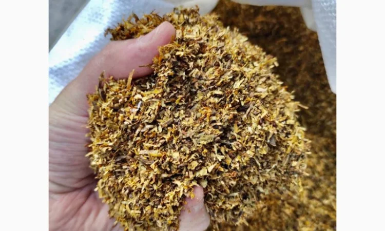 Kapitan Blek - фото № 6