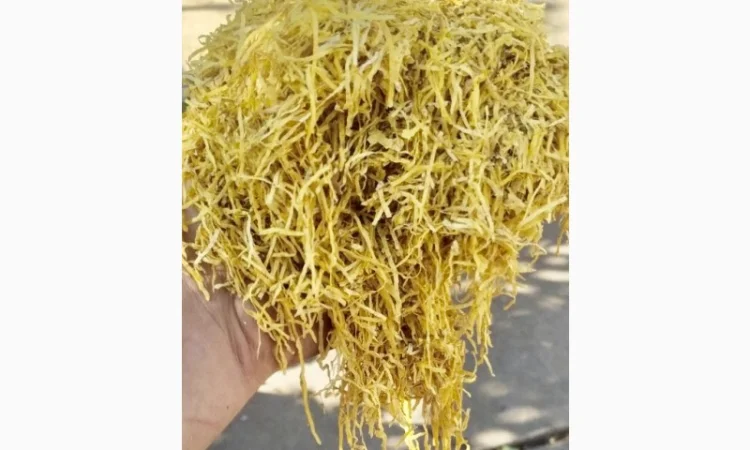 Герцеговина, Золотое руно, Вирджиния, Дюбек, Мериленд, Camel, Marlboro Є Опт - фото № 6