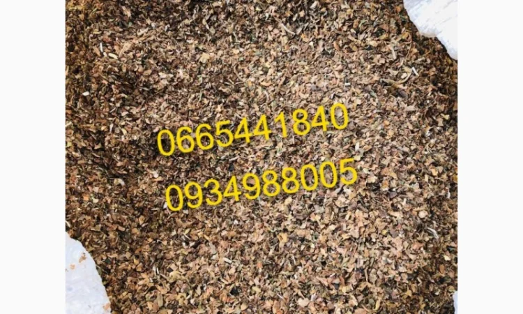 Дюбек, Гавана, Берлі, Голд, Руно, Вірджинія, Бонд, Мальбро без палок та пилі - фото № 11