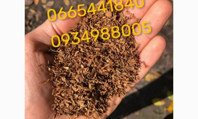 Дюбек, Гавана, Берлі, Голд, Руно, Вірджинія, Бонд, Мальбро без палок та пилі - фото № 18