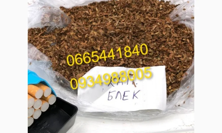 Дюбек, Гавана, Берлі, Голд, Руно, Вірджинія, Бонд, Мальбро без палок та пилі - фото № 15