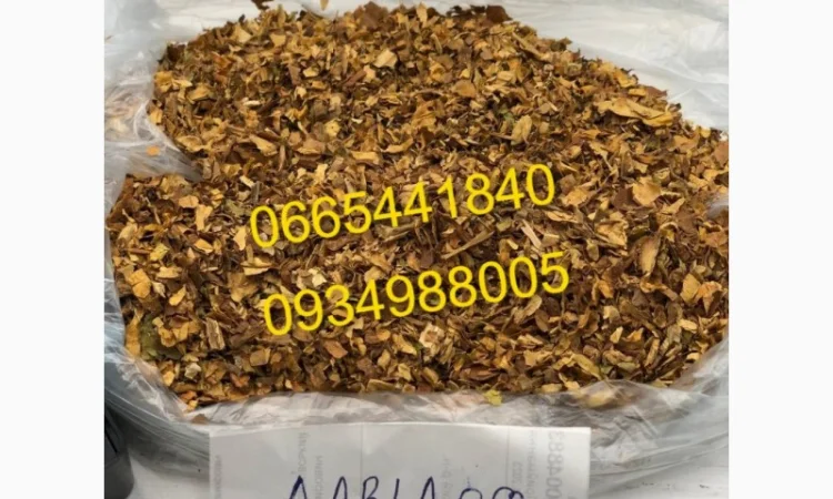 Дюбек, Гавана, Берлі, Голд, Руно, Вірджинія, Бонд, Мальбро без палок та пилі - фото № 14