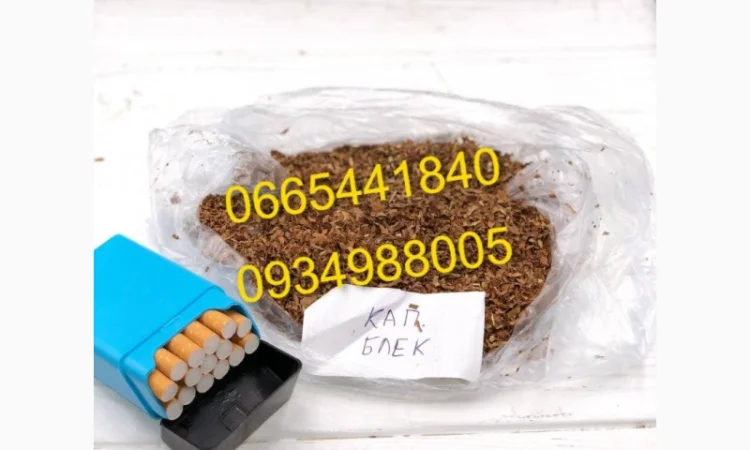 Дюбек, Гавана, Берлі, Голд, Руно, Вірджинія, Бонд, Мальбро без палок та пилі - фото № 13