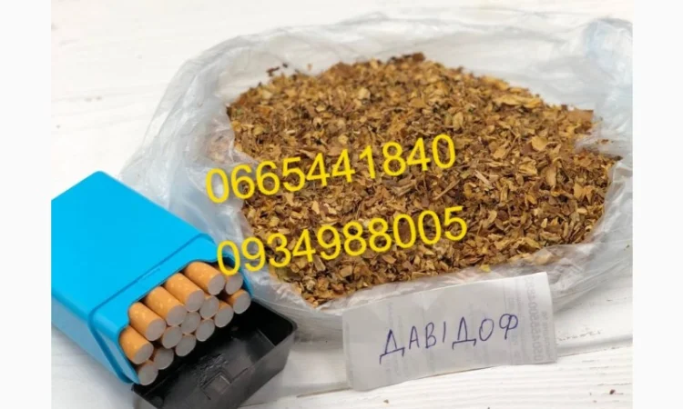 Дюбек, Гавана, Берлі, Голд, Руно, Вірджинія, Бонд, Мальбро без палок та пилі - фото № 12