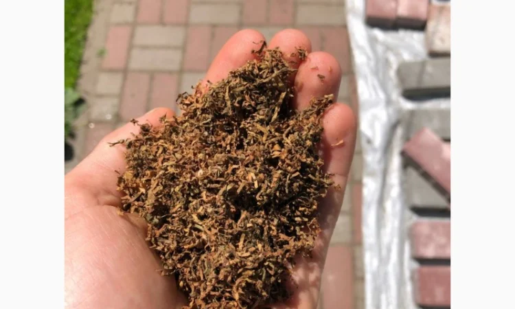 Дюбек / Гавана / ВірдПол / Хлопья / Махорка / Берлі / Мальбро / Гільзи / КапБлек - фото № 13