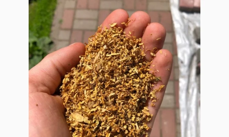 Дюбек / Гавана / ВірдПол / Хлопья / Махорка / Берлі / Мальбро / Гільзи / КапБлек - фото № 14