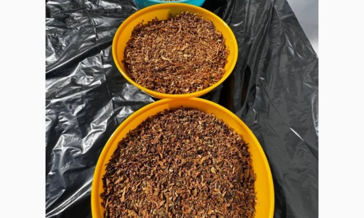 Дюбек / Гавана / ВірдПол / Хлопья / Махорка / Берлі / Мальбро / Гільзи / КапБлек - фото № 1