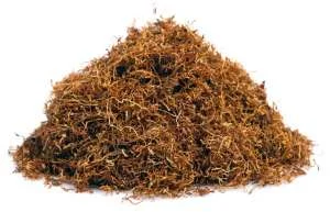 Берли Вірджинія Махорка тютюн вищого сорту - фото № 2