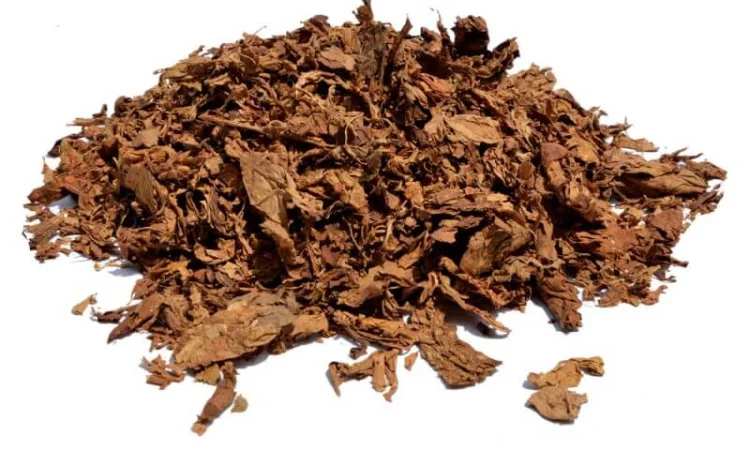 Берли Вірджинія Махорка тютюн вищого сорту - фото № 3