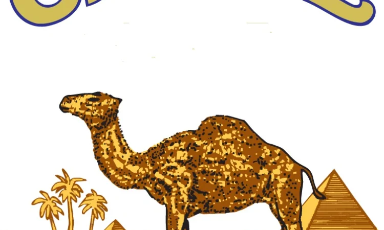 Табак Прилуки / Берлі / Вірджинія / Махорка / Мальбро / Парламент / Гільзи - фото № 1