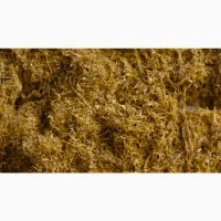 Качественный табак Верджиния оптом и в розницу недорого - фото № 1