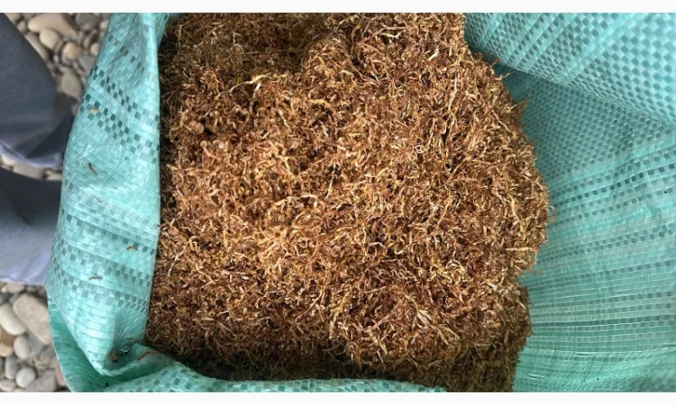 Продається тютюн для самокруток - фото № 3