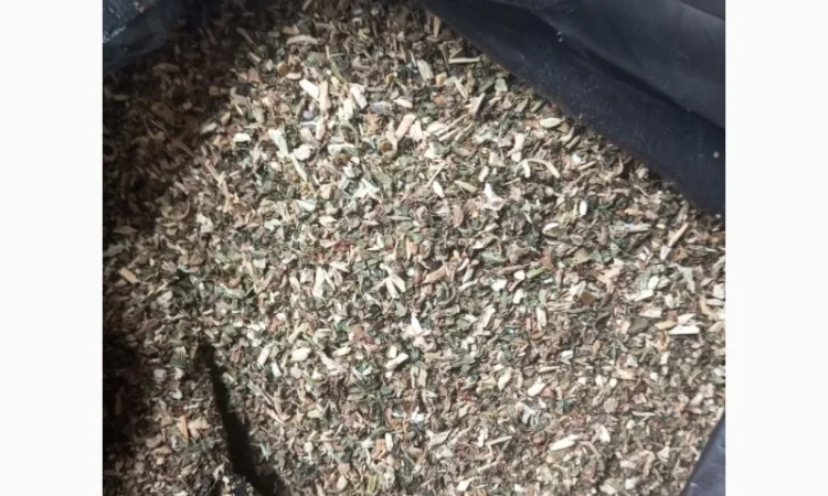 Куплю Махорку оптом від мішка - фото № 1