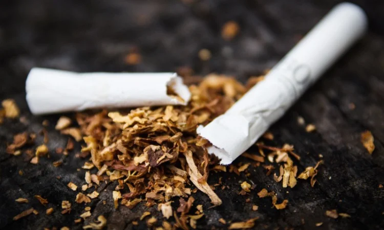 Продам табак. легкой крепости Вирджини - фото № 4