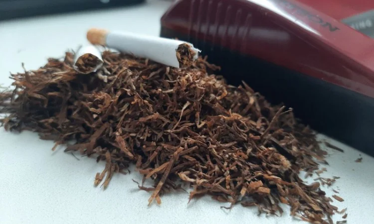 Табак 2024 року - фото № 1