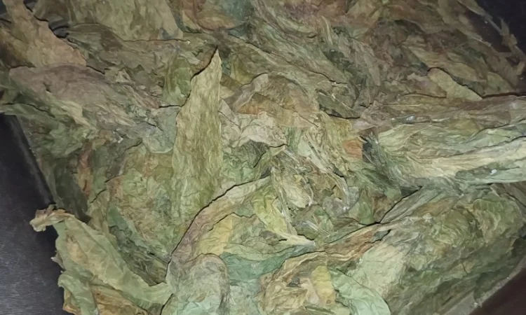 Табачний лист куплю відходи з листа такі як на фотках - фото № 1
