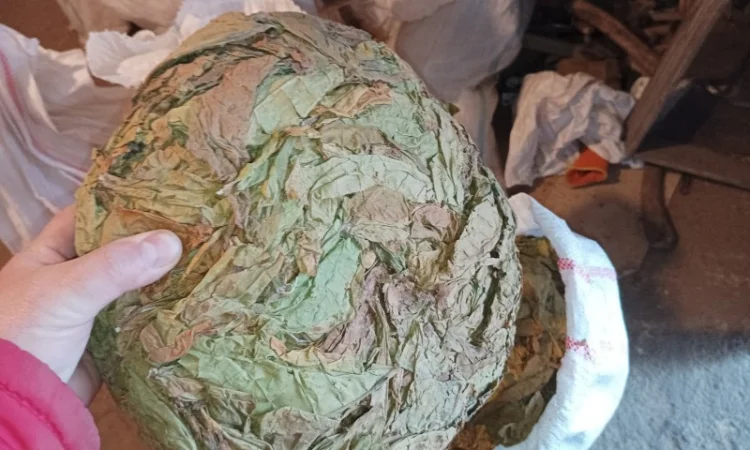 КУПЛЮ лист з тютюнів любих сортів такий як на фото некондицію - фото № 2