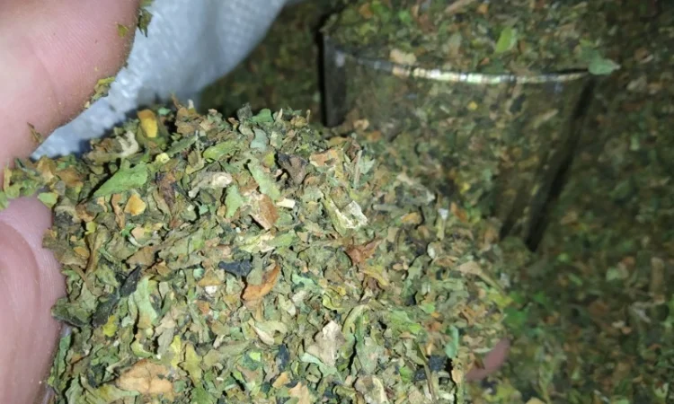 Куплю лист з табака некондицію перетертий на решето з різних табакі в200 грн кг - фото № 1