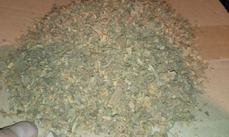 Зелені трьохцвєтка відходи з листа хлопя табака куплю по 200грн. сорт любий - фото № 1