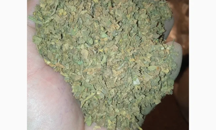 Куплю Табачні відходи любий сорт битий хлопями зеленими куплю - фото № 1